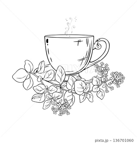 Cup Oregano of Tea Outline Illustration. Cup Oregano of Tea Outline Illustration. 136701060