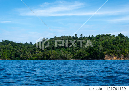 Coconut lined beach on Waleakodi Island, Togian archipelago, Sulawesi, Indonesia 136701139