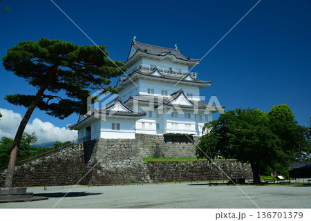 小田原城 小田原城 136701379