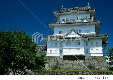 小田原城 小田原城 136701381