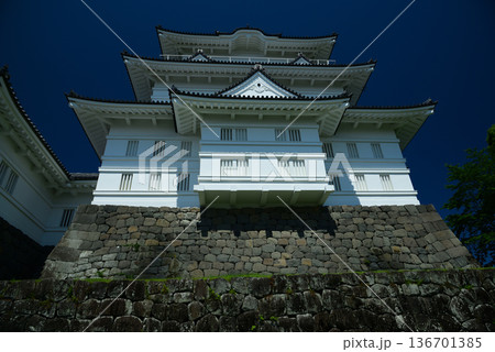 小田原城 136701385