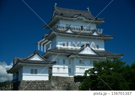 小田原城 136701387