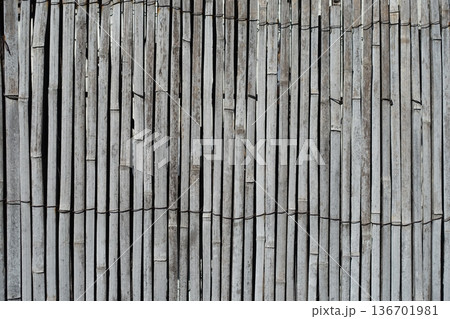 古い竹垣　竹の壁 136701981