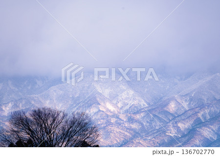 夕日に染まる雪山と木々のシルエット:紫に輝く冬の山脈と雲 夕日に染まる雪山と木々のシルエット:紫に輝く冬の山脈と雲 136702770