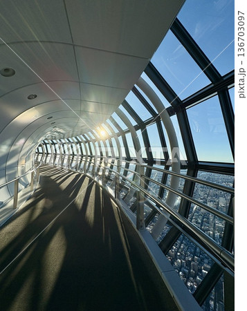 東京スカイツリー天望回廊_人が写り込んでいないスカイツリー展望回廊 東京スカイツリー天望回廊_人が写り込んでいないスカイツリー展望回廊 136703097