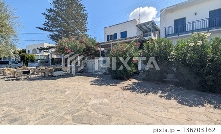 Open terrace restaurant on the street with plants with white and pink flowers 136703162