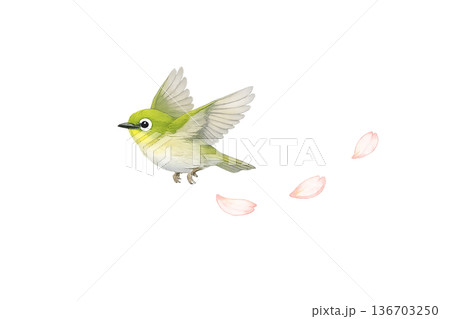 小鳥 飛ぶ 花びら 春 水彩 ナチュラル イラスト 切り抜き素材 136703250