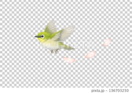 小鳥 飛ぶ 花びら 春 水彩 ナチュラル イラスト 切り抜き素材 136703250
