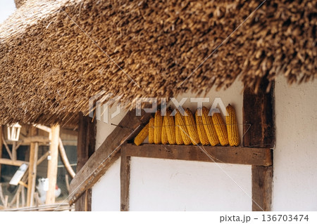 Close up view of wall of old village house with corn that is hanging on the wall Close up view of wall of old village house with corn that is hanging on the wall 136703474
