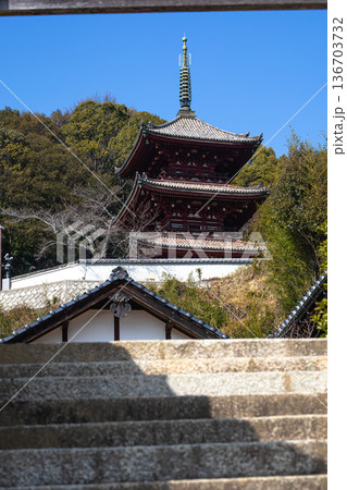 西國寺の歴史を感じる階段と仏塔 136703732