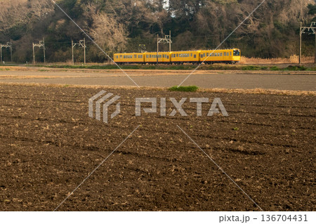 田起こしが終わった田んぼの横を走る三岐鉄道北勢線の電車 田起こしが終わった田んぼの横を走る三岐鉄道北勢線の電車 136704431