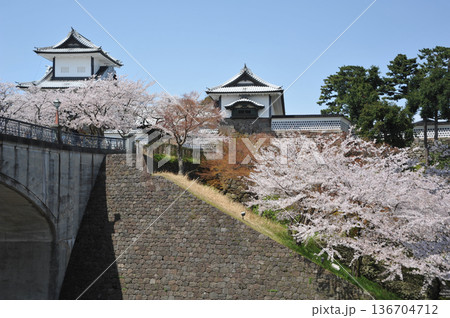 金沢城　石川門の桜 136704712