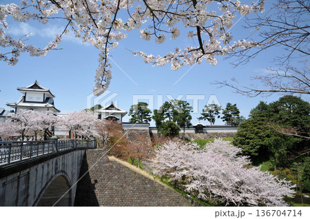 金沢城　石川門の桜 136704714