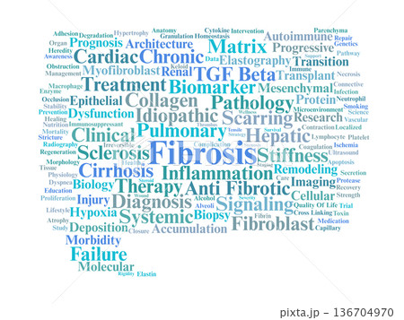 Fibrosis Word Cloud. Key Terms in Pathological Scarring and Connective Tissue Remodeling 136704970