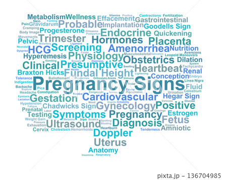 Pregnancy Signs Word Cloud. Essential Clinical Indicators and Physiological Changes Pregnancy Signs Word Cloud. Essential Clinical Indicators and Physiological Changes 136704985