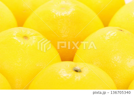 土佐ブンタン　文旦　大きい柑橘類　複数 136705340