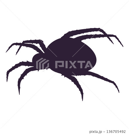spider black silhouette 136705492