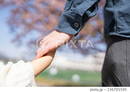 春の公園で手をつなぐ親子 136705595