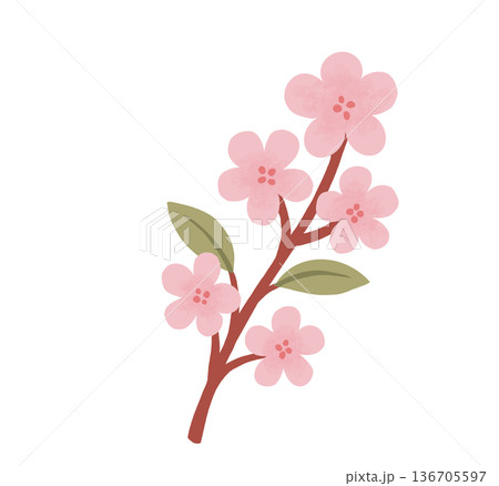 花 フラワー お花 136705597