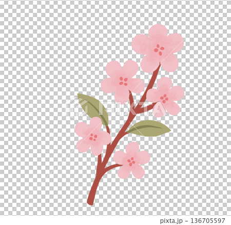 花 フラワー お花 136705597
