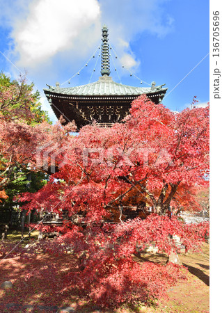 清凉寺の紅葉と多宝塔 清凉寺の紅葉と多宝塔 136705696