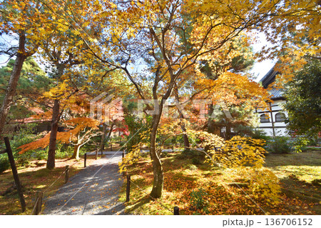 清凉寺の紅葉 清凉寺の紅葉 136706152
