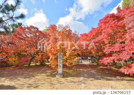 清凉寺の紅葉 清凉寺の紅葉 136706157
