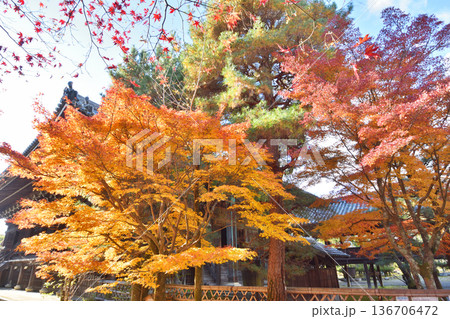 清凉寺の紅葉 清凉寺の紅葉 136706472