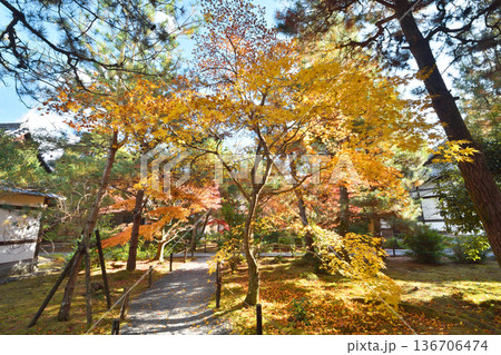 清凉寺の紅葉 清凉寺の紅葉 136706474