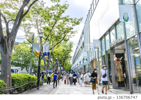 東京渋谷の都市風景　表参道 136706747