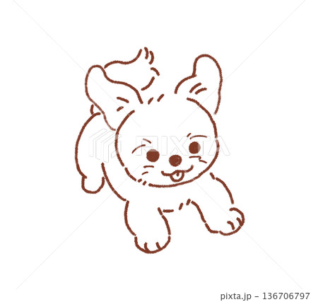 走るシーズー 走るシーズー 136706797