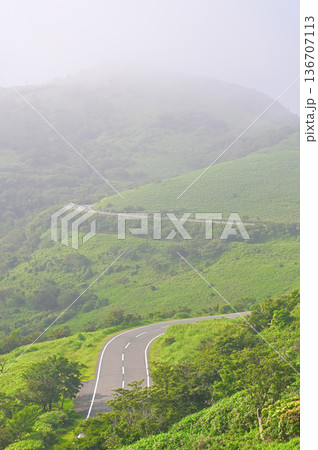 伊豆半島　夏の伊豆山稜線歩道　小達磨山のあせびヶ原より望む霧が晴れ行く達磨山 136707113