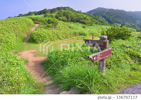 伊豆半島 夏の伊豆山稜線歩道 あせびヶ原 西伊豆スカイラインの小達磨山入口 伊豆半島 夏の伊豆山稜線歩道 あせびヶ原 西伊豆スカイラインの小達磨山入口 136707117