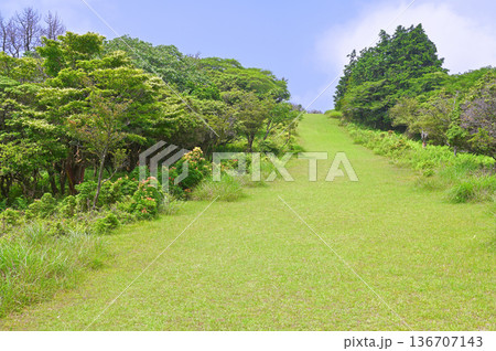 伊豆半島の伊豆山稜線歩道 夏色のだるま山高原の歩道 伊豆半島の伊豆山稜線歩道 夏色のだるま山高原の歩道 136707143