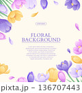 Colorful background with beautiful crocuses. The concept of spring, wedding, March 8th, mother's day, birthday. Vector illustration for the design of posters, flyers, postcards, invitations 136707443
