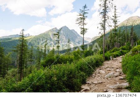 Breathtaking view of the mountains on a hiking trail. Location of the High Tatras Mountains, Europe. 136707474