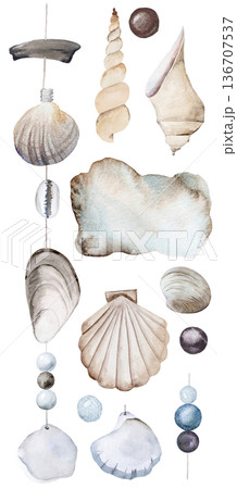 Vertical watercolor seashell garland with beads on string, coastal boho wedding illustration 136707537