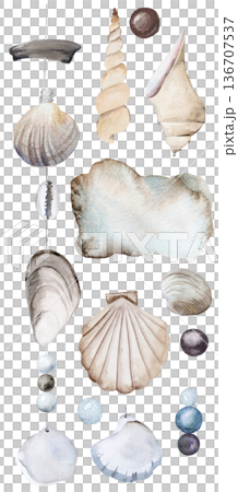 Vertical watercolor seashell garland with beads on string, coastal boho wedding illustration 136707537