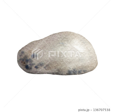 Hand drawn watercolor beige sea coral illustration for coastal beach wedding stationery 136707538