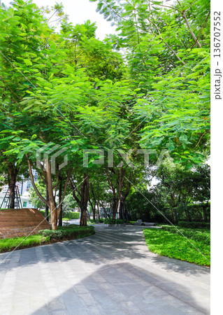 緑の多いビルのエントランス 136707552