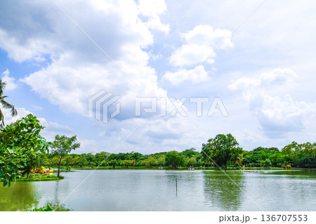 緑に囲まれた池のある公園 136707553
