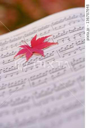 紅葉の葉と楽譜の音符クローズアップイメージ素材 136707648