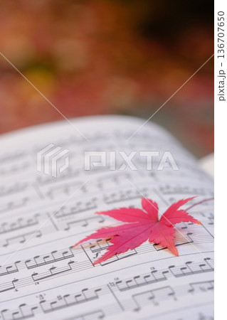 紅葉の葉と楽譜の音符クローズアップイメージ素材 紅葉の葉と楽譜の音符クローズアップイメージ素材 136707650