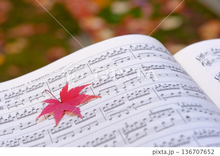 紅葉の葉と楽譜の音符クローズアップイメージ素材 紅葉の葉と楽譜の音符クローズアップイメージ素材 136707652