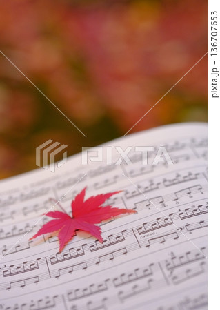 紅葉の葉と楽譜の音符クローズアップイメージ素材 紅葉の葉と楽譜の音符クローズアップイメージ素材 136707653