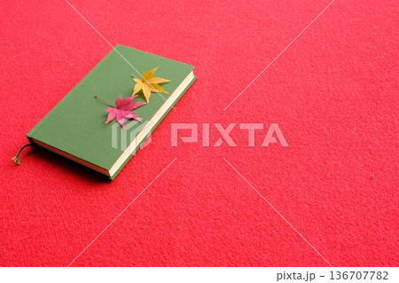 もみじと読書のイメージ素材 136707782