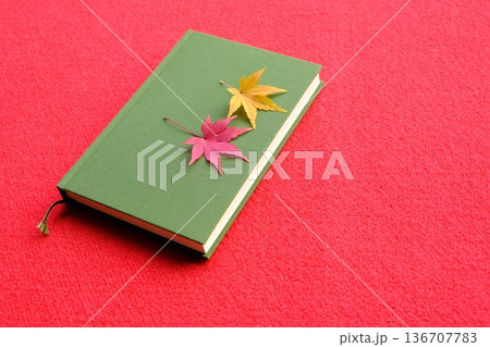 もみじと読書のイメージ素材 136707783
