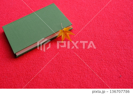 もみじと読書のイメージ素材 もみじと読書のイメージ素材 136707786