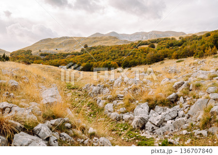 Scenic landscape of rocky terrain and autumn foliage in serene countryside setting during weather Scenic landscape of rocky terrain and autumn foliage in serene countryside setting during weather 136707840