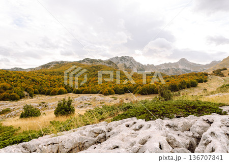 Scenic landscape of rocky terrain and autumn foliage in serene countryside setting during weather Scenic landscape of rocky terrain and autumn foliage in serene countryside setting during weather 136707841